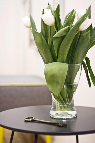 Mieszkanie-przy-Daszynskiego-05